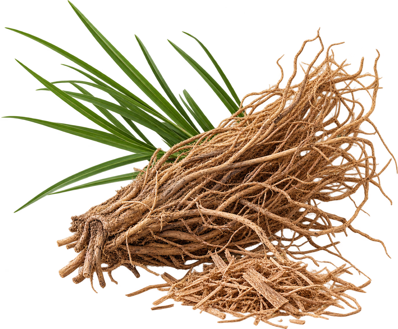 Vetiver